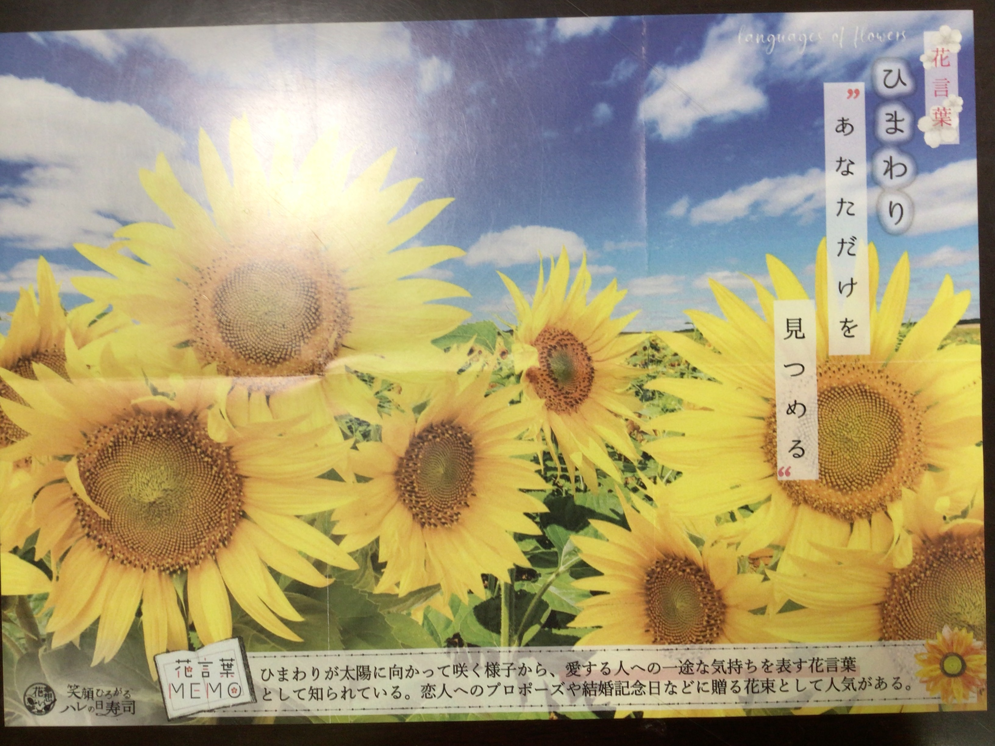 8月イベント食